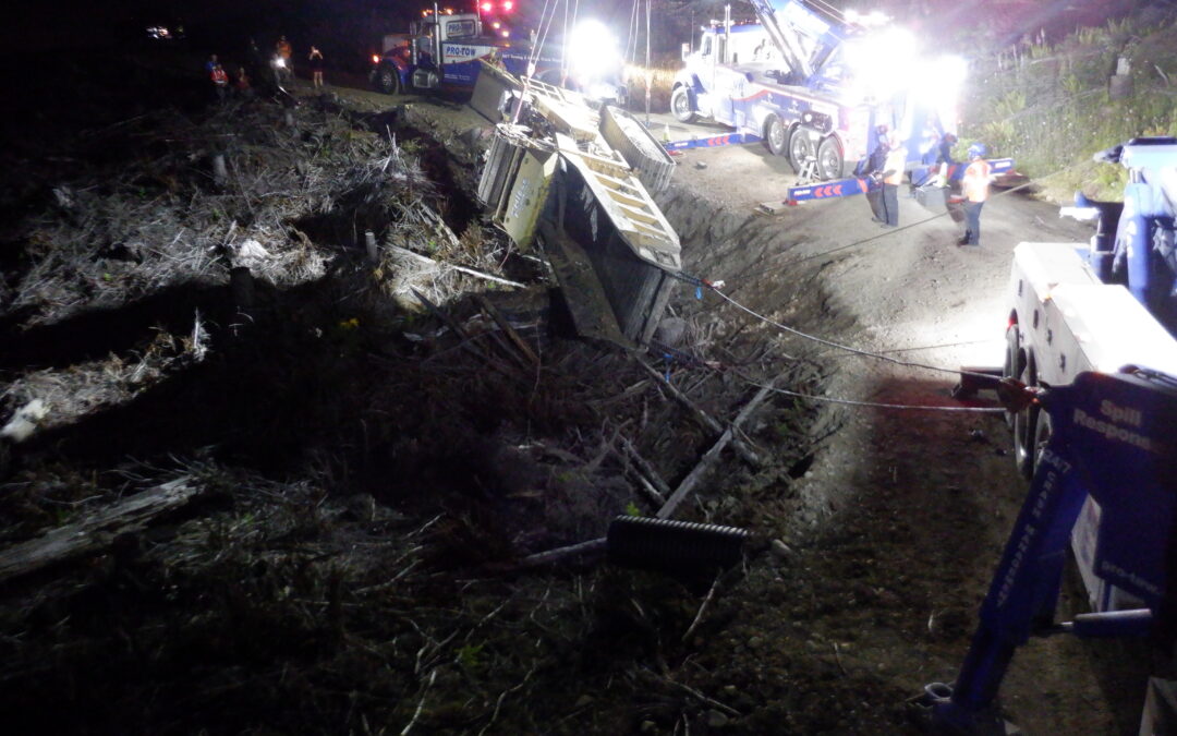 Revisited: Stump Grinder Lifted in Logging Road Equipment Recovery