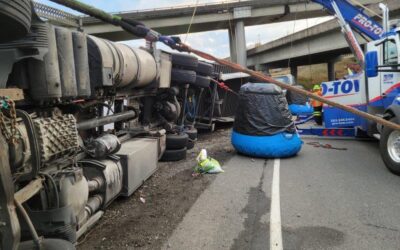 Mushrooms Down Accident Recovery