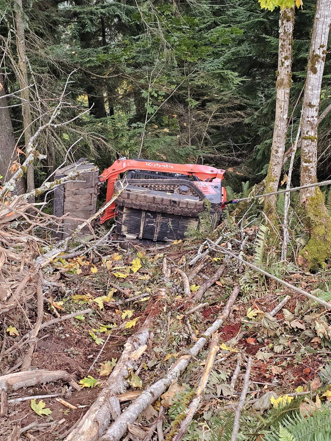 Coming out of the ditch