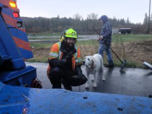 Sadie the Recovery Dog on a heavy-duty recovery in Maple Valley