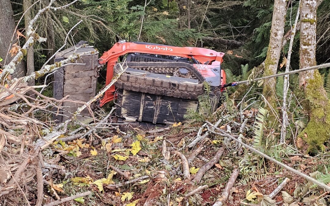 Coming out of the ditch